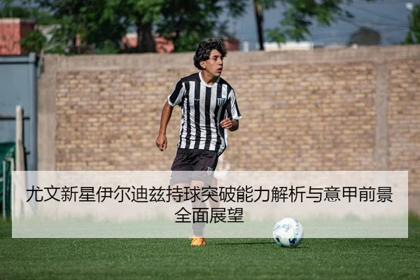 you-wen-xin-xing-yi-er-di-zi-chi-qiu-tu-po-neng-li-jie-xi-yu-yi-jia-qian-jing-quan-mian-zhan-wang-2-422.jpg